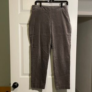 Talbots velveteen pants in curvy fit.